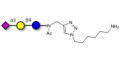 3'-Sialyllactose (3'-SL) / GM3 Ganglioside oligosaccharide with free terminal amine (Linker-NH2 D) - 3'SL; N-Acetylneuraminoyllactose; (2, 3')-a-Sialyllactose; 3'-a-Sialyllactose; a-Neu5Ac-(2-3)-/3-D. Gal-(1-4)-D-Glc; 3'-N-Acetylneuraminyl-D-lactose