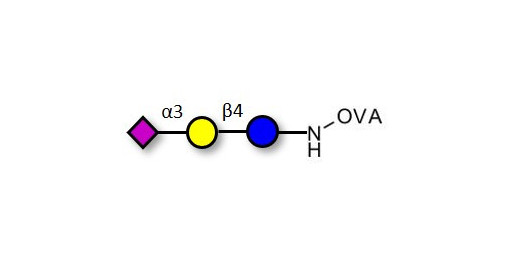 3'-Sialyllactose (3'-SL) / GM3 Ganglioside oligosaccharide grafted on OVA - 3'SL; N-Acetylneuraminoyllactose; (2, 3')-a-Sialyllactose; 3'-a-Sialyllactose; a-Neu5Ac-(2-3)-/3-D. Gal-(1-4)-D-Glc; 3'-N-Acetylneuraminyl-D-lactose