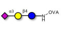 3'-Sialyllactose (3'-SL) / GM3 Ganglioside oligosaccharide grafted on OVA - 3'SL; N-Acetylneuraminoyllactose; (2, 3')-a-Sialyllactose; 3'-a-Sialyllactose; a-Neu5Ac-(2-3)-/3-D. Gal-(1-4)-D-Glc; 3'-N-Acetylneuraminyl-D-lactose