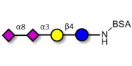 GD3 Ganglioside...