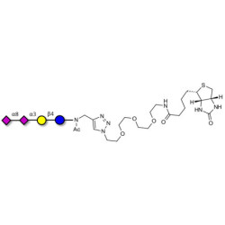GD3 Ganglioside oligosaccharide / Disialyl lactose (DSL) linked to biotin (Linker-BT A)