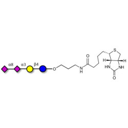 GD3 Ganglioside oligosaccharide / Disialyl lactose (DSL) linked to biotin (Linker-BT B)