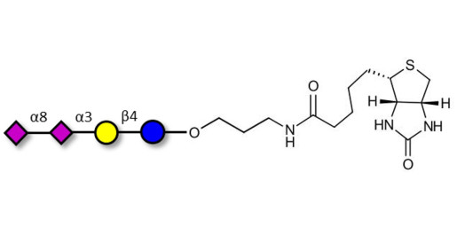 GD3 Ganglioside oligosaccharide / Disialyl lactose (DSL) linked to biotin (Linker-BT B) - Disialyl lactose ;DS-L