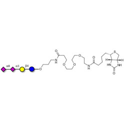 GD3 Ganglioside oligosaccharide / Disialyl lactose (DSL) linked to biotin (Linker-BT C)