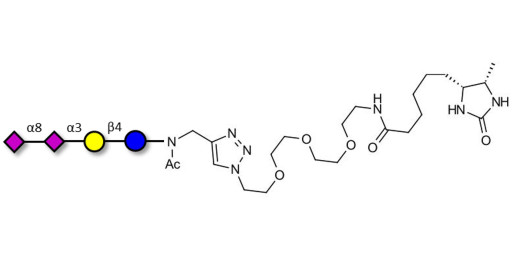 GD3 Ganglioside oligosaccharide / Disialyl lactose (DSL) linked to desthiobiotin (Linker-DBT-A) - Disialyl lactose ;DS-L