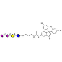 GD3 Ganglioside oligosaccharide / Disialyl lactose (DSL) linked to fluorescein (Linker-FLUO A)