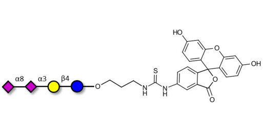GD3 Ganglioside oligosaccharide / Disialyl lactose (DSL) linked to fluorescein (Linker-FLUO A) - Disialyl lactose ;DS-L