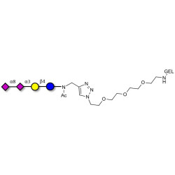 GD3 Ganglioside oligosaccharide / Disialyl lactose (DSL) grafted on gel for affinity chromatography (Linker-GEL A)