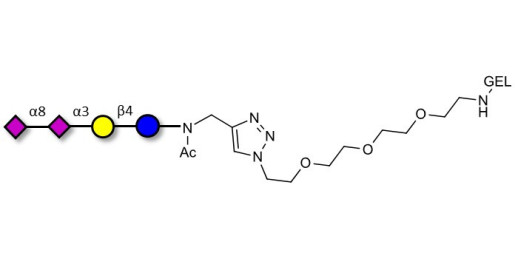 GD3 Ganglioside oligosaccharide / Disialyl lactose (DSL) grafted on gel for affinity chromatography (Linker-GEL A) - GLY091-GEL ; Disialyl lactose ;DS-L