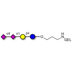 GD3 Ganglioside oligosaccharide / Disialyl lactose (DSL) grafted on gel for affinity chromatography (Linker-GEL B)