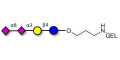 GD3 Ganglioside oligosaccharide / Disialyl lactose (DSL) grafted on gel for affinity chromatography (Linker-GEL B) - Disialyl lactose ;DS-L