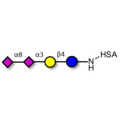 GD3 Ganglioside oligosaccharide / Disialyl lactose (DSL) grafted on HSA