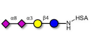 GD3 Ganglioside...