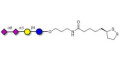 GD3 Ganglioside oligosaccharide / Disialyl lactose (DSL) with cyclic di-thiol (Linker-LIPO A) - Disialyl lactose ;DS-L
