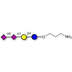 GD3 Ganglioside oligosaccharide / Disialyl lactose (DSL) with free terminal amine (Linker-NH2 A)