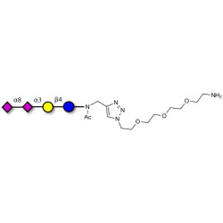 GD3 Ganglioside oligosaccharide / Disialyl lactose (DSL) with free terminal amine (Linker-NH2 B)
