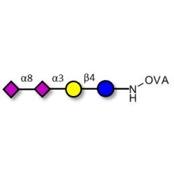 GD3 Ganglioside oligosaccharide / Disialyl lactose (DSL) grafted on OVA