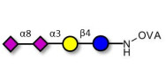 GD3 Ganglioside...