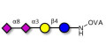 GD3 Ganglioside oligosaccharide / Disialyl lactose (DSL) grafted on OVA - Disialyl lactose ;DS-L