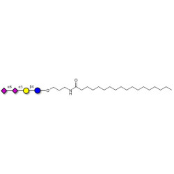 GD3 Ganglioside oligosaccharide / Disialyl lactose (DSL) with stearic chain (Linker-STEA A)