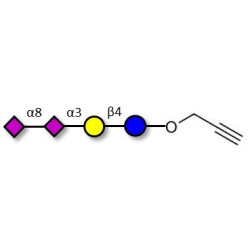 GD3 Ganglioside oligosaccharide / Disialyl lactose (DSL) with terminal alkyne (Linker-CΞCH B)