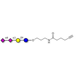 GD3 Ganglioside oligosaccharide / Disialyl lactose (DSL) with terminal alkyne (Linker-CΞCH C)