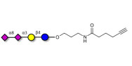 GD3 Ganglioside...