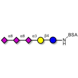 GT3 Ganglioside oligosaccharide grafted on BSA