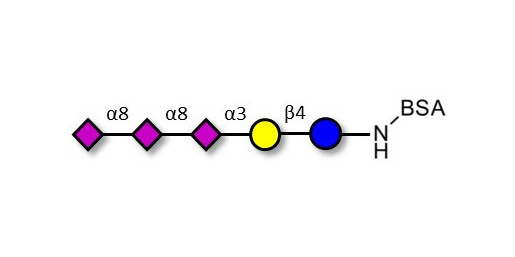GT3 Ganglioside oligosaccharide grafted on BSA - Trisialyl lactose 