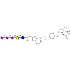 GT3 Ganglioside oligosaccharide linked to biotin (Linker-BT A)
