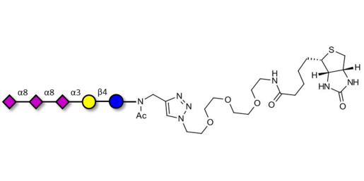 GT3 Ganglioside oligosaccharide linked to biotin (Linker-BT A) - GLY092-NAc-sp3-Bt ; Trisialyl lactose 