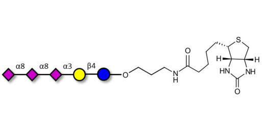 GT3 Ganglioside oligosaccharide linked to biotin (Linker-BT B) - Trisialyl lactose 