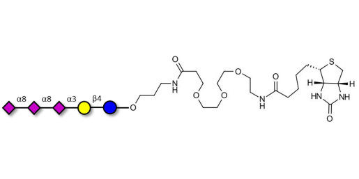 GT3 Ganglioside oligosaccharide linked to biotin (Linker-BT C) - Trisialyl lactose 