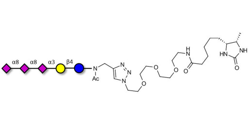 GT3 Ganglioside oligosaccharide linked to desthiobiotin (Linker-DBT-A) - Trisialyl lactose 