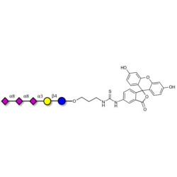 GT3 Ganglioside oligosaccharide linked to fluorescein (Linker-FLUO A)