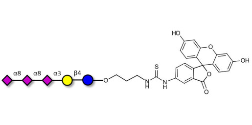 GT3 Ganglioside oligosaccharide linked to fluorescein (Linker-FLUO A) - Trisialyl lactose 