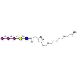GT3 Ganglioside oligosaccharide grafted on gel for affinity chromatography (Linker-GEL A)