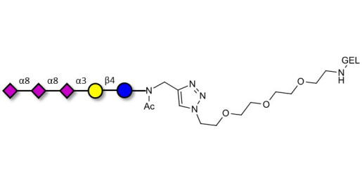 GT3 Ganglioside oligosaccharide grafted on gel for affinity chromatography (Linker-GEL A) - Trisialyl lactose 