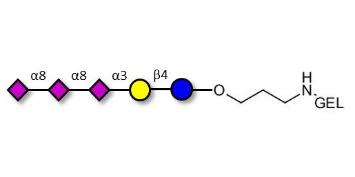 GT3 Ganglioside oligosaccharide grafted on gel for affinity chromatography (Linker-GEL B) - Trisialyl lactose 