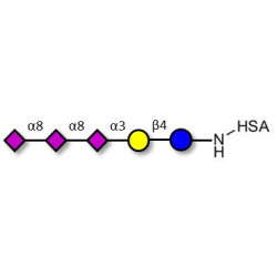 GT3 Ganglioside oligosaccharide grafted on HSA