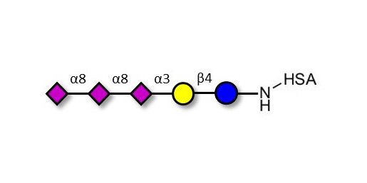 GT3 Ganglioside oligosaccharide grafted on HSA - Trisialyl lactose 