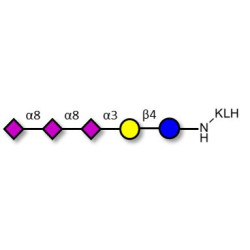 GT3 Ganglioside oligosaccharide grafted on KLH