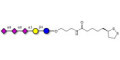 GT3 Ganglioside oligosaccharide with cyclic di-thiol (Linker-LIPO A) - Trisialyl lactose 