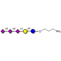 GT3 Ganglioside oligosaccharide with free terminal amine (Linker-NH2 A)