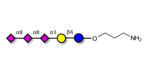 GT3 Ganglioside oligosaccharide with free terminal amine (Linker-NH2 A) - Trisialyl lactose 