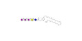 GT3 Ganglioside oligosaccharide with free terminal amine (Linker-NH2 C) - Trisialyl lactose 