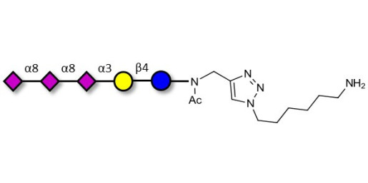 GT3 Ganglioside oligosaccharide with free terminal amine (Linker-NH2 D) - Trisialyl lactose 