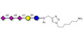 GT3 Ganglioside oligosaccharide with free terminal amine (Linker-NH2 D) - Trisialyl lactose 