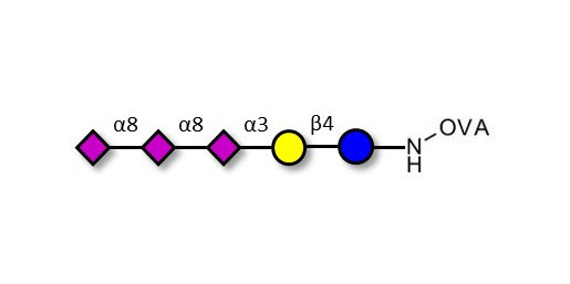 GT3 Ganglioside oligosaccharide grafted on OVA - Trisialyl lactose 