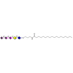 GT3 Ganglioside oligosaccharide with stearic chain (Linker-STEA A)